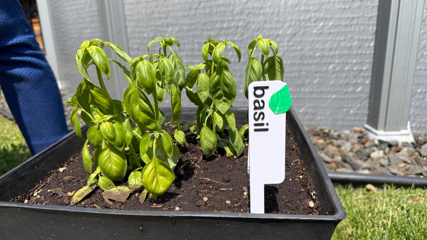 Garden Vegetable and Plant Markers Stakes