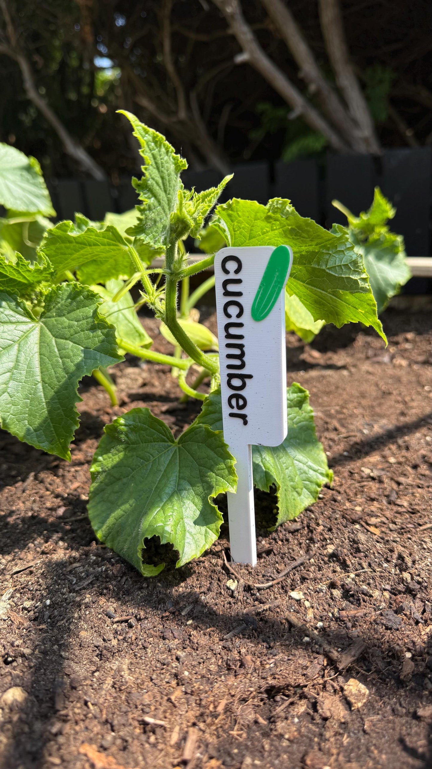 Garden Vegetable and Plant Markers Stakes