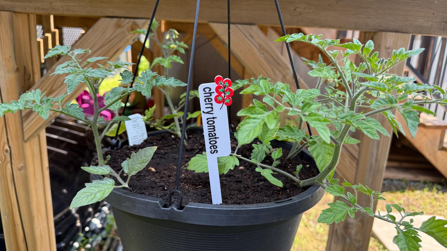 Garden Vegetable and Plant Markers Stakes